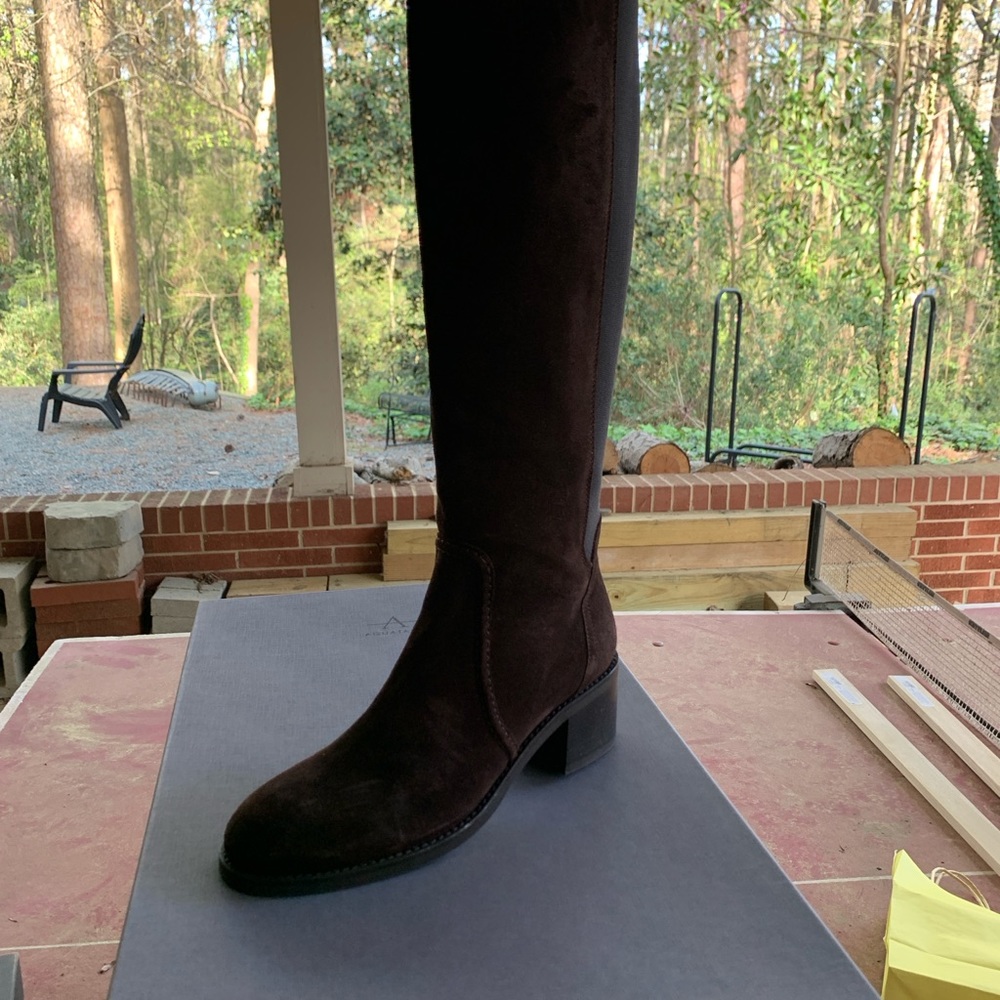 Aquatalia Brown Suede Boots